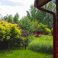 Вид на участок слева от дома